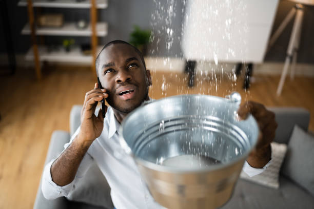 Best 24/7 water damage repair  in Amelia, LA