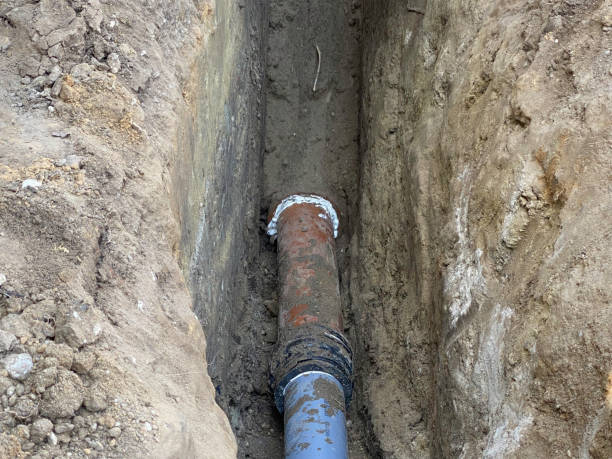 Best Basement water damage restoration  in Amelia, LA