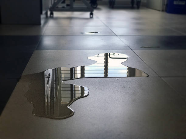 Best 24/7 water damage repair  in Amelia, LA