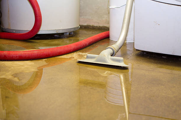 Best Basement water damage restoration  in Amelia, LA