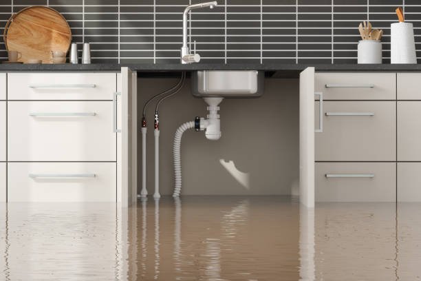 , LA Water damage restoration Company
