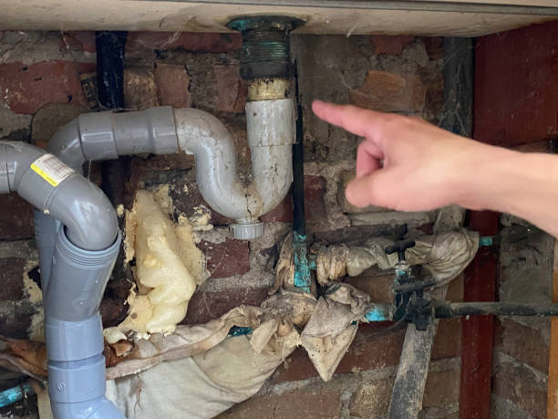 Best Flooded house restoration  in Amelia, LA