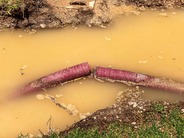 Best Water damage restoration company  in Amelia, LA