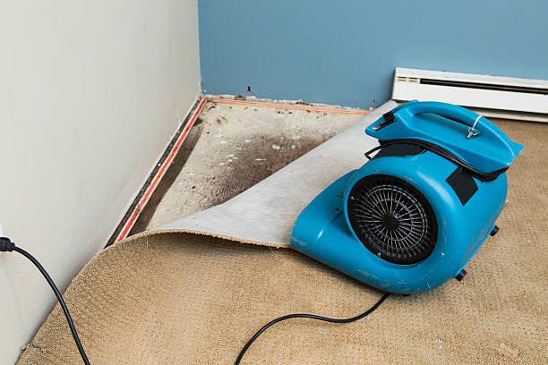 Best Flooded house restoration  in Amelia, LA